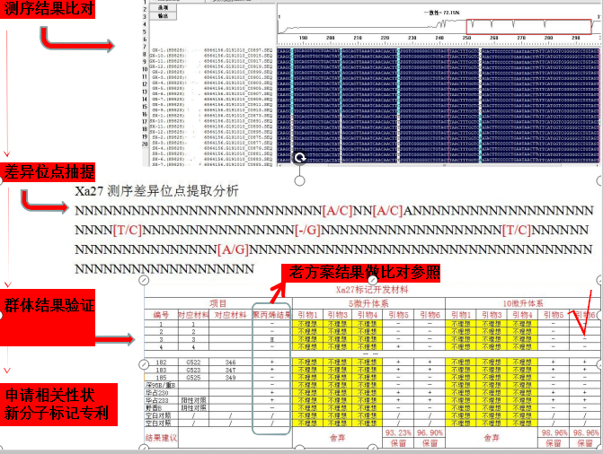 SNP检测服务for KASP （FLu-Arms）