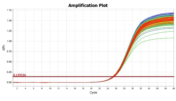 SYBR Green qPCR试剂