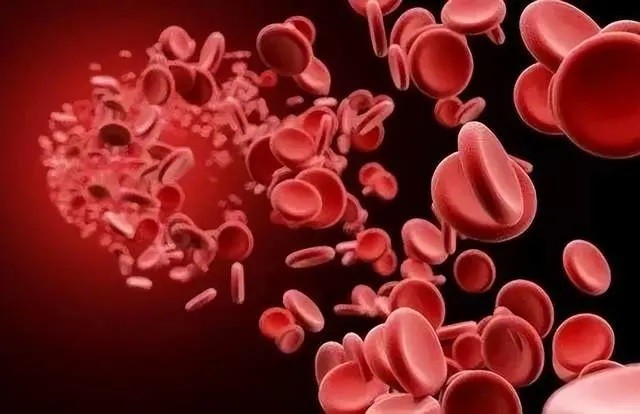 SNP:探索基因变异的奥秘