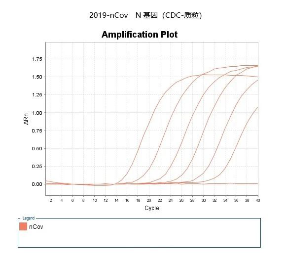 一步法qPCR试剂 One-Step 5x RT-SYBR qPCR Mix
