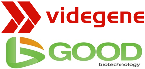 SNP-KASP-分子育种-固德生物