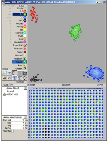 kASP位点设计验证全包服务