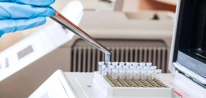 KASP技术在作物遗传育种中的应用与展望