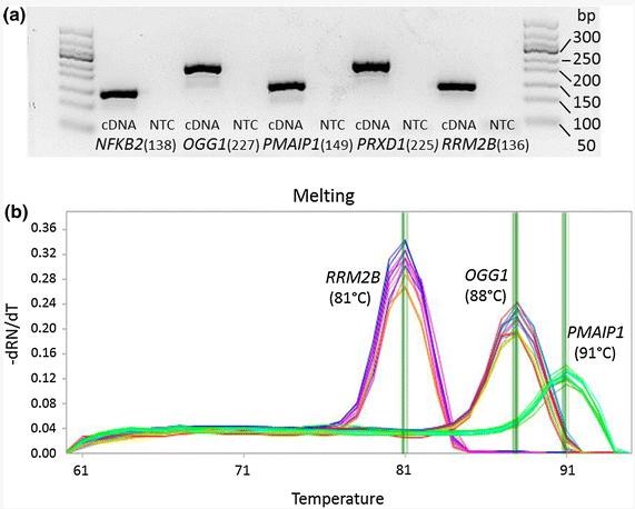 荧光定量qPCR检测服务