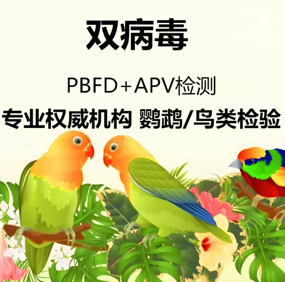 鹦鹉鸽子双病毒检测